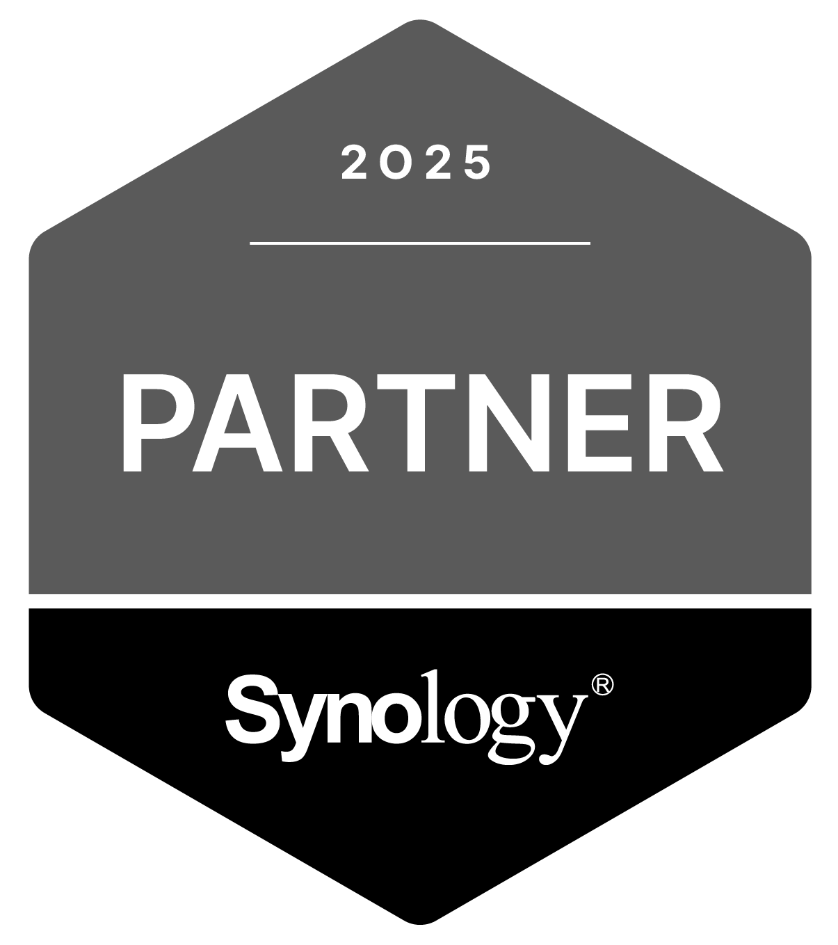 Synology Partner